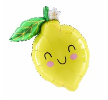 아나그램 라지쉐잎 푸드프렌즈 레몬