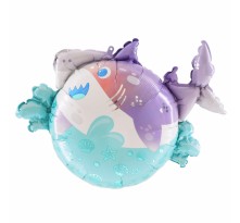 아나그램 롤리폴리 샤크파티